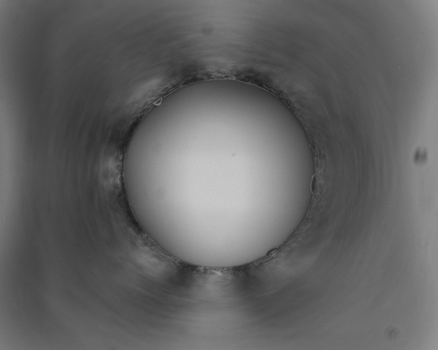 X0000091070768200708201409