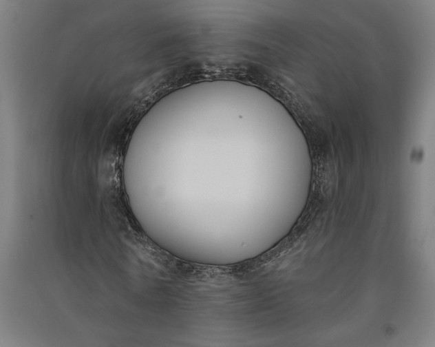 X0000091070770200708201409