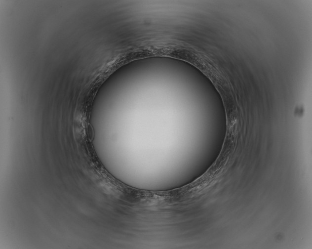 X0000091070772200708201409