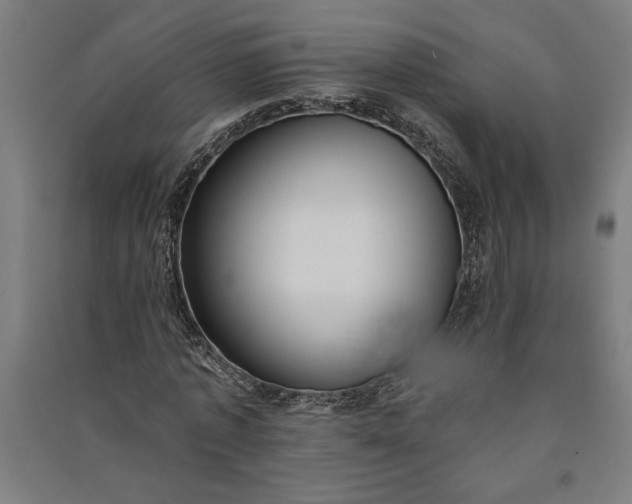 X0000091070773200708201409