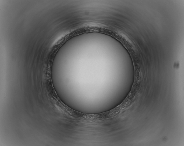 X0000091070775200708201409