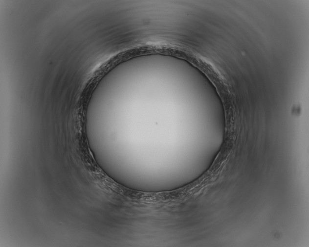 X0000091070776200708201409