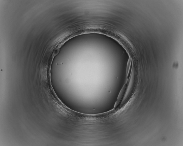 X0000091070777200708201409