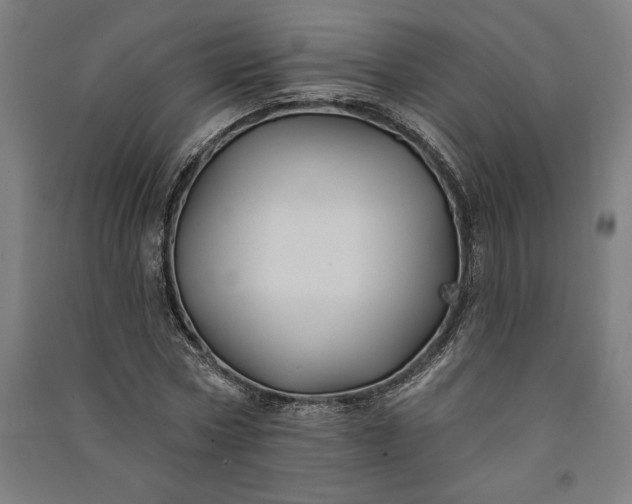 X0000091070778200708201409