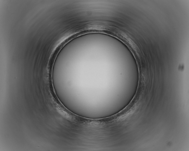 X0000091070779200708201408