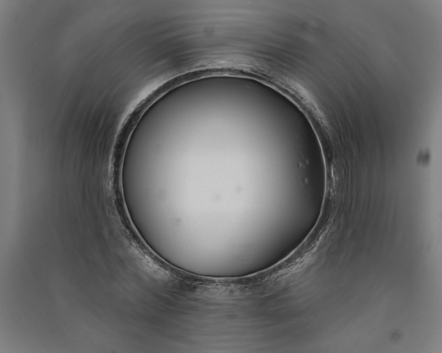 X0000091070780200708201408