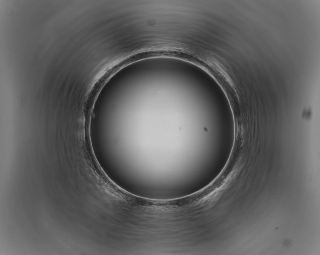 X0000091070781200708201408