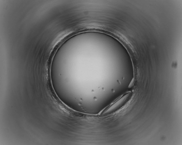 X0000091070782200708201408