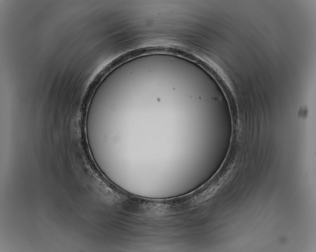 X0000091070783200708201408