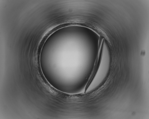 X0000091070784200708201408