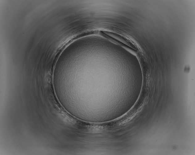 X0000091070785200708201408