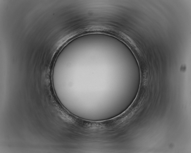 X0000091070786200708201408