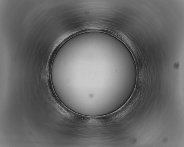 X0000091070787200708201408