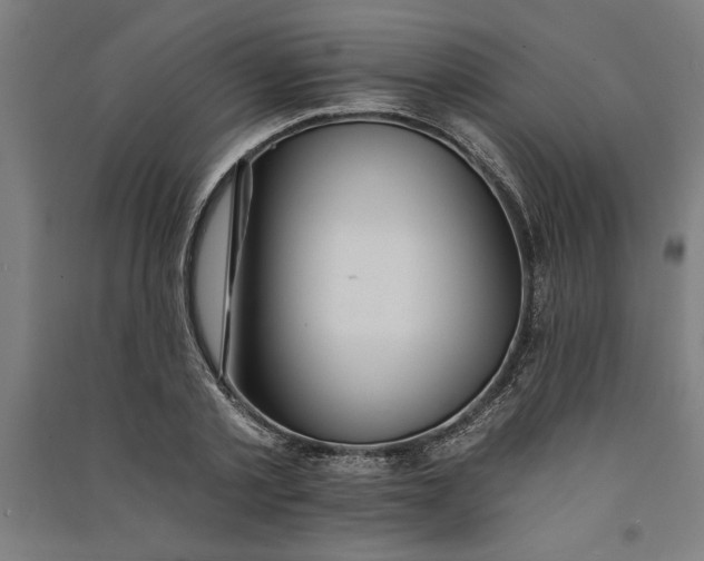 X0000091070789200708201408