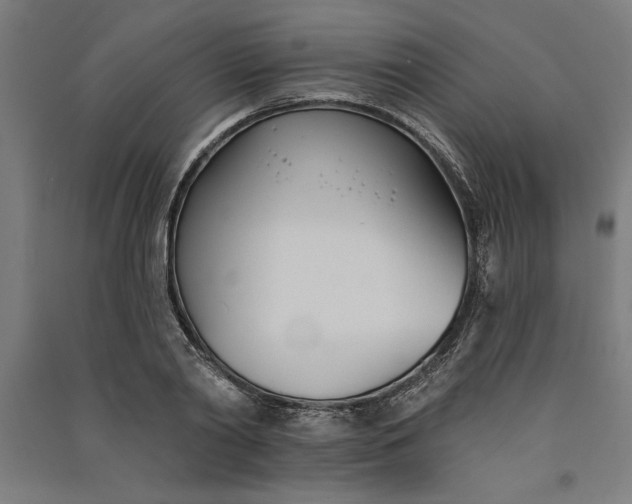 X0000091070790200708201408