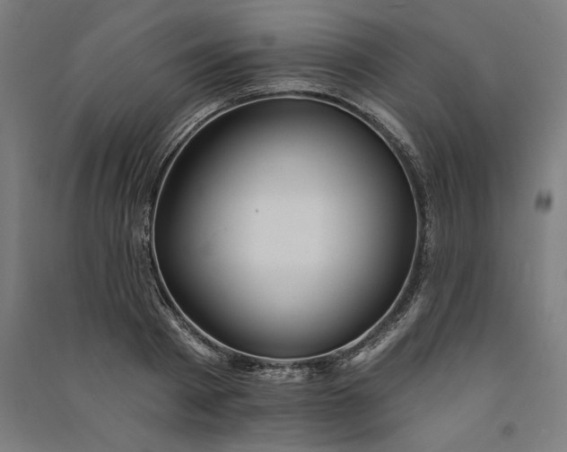 X0000091070793200708201408