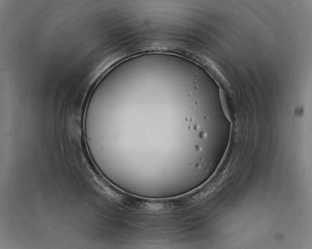 X0000091070794200708201408