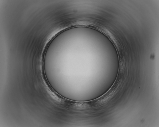 X0000091070795200708201408