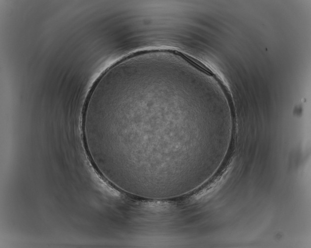 X0000091070797200708201408