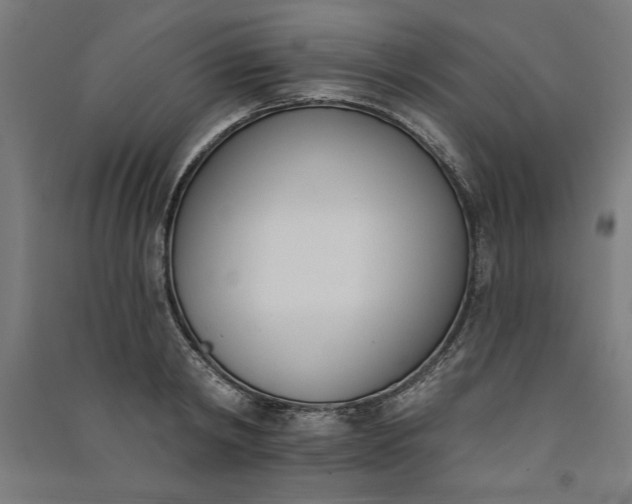 X0000091070798200708201408