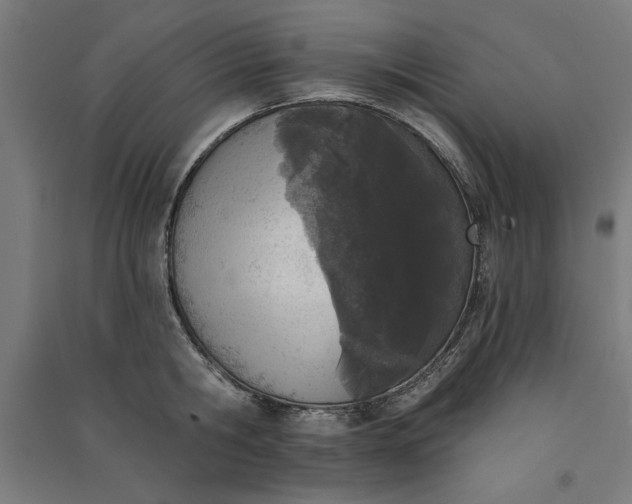 X0000091070806200708201408