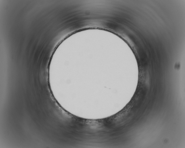 X0000091070807200708201408