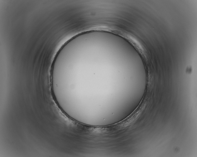 X0000091070808200708201408