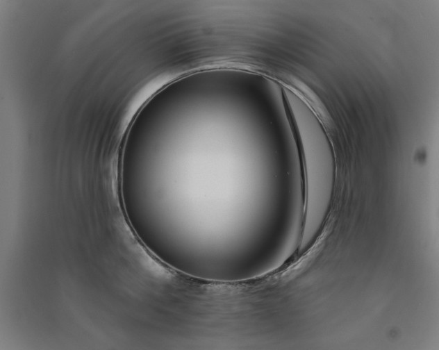 X0000091070812200708201408