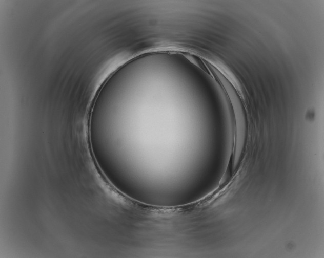 X0000091070813200708201408