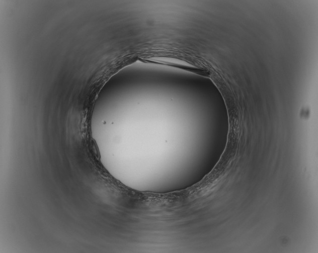 X0000091070818200708201407