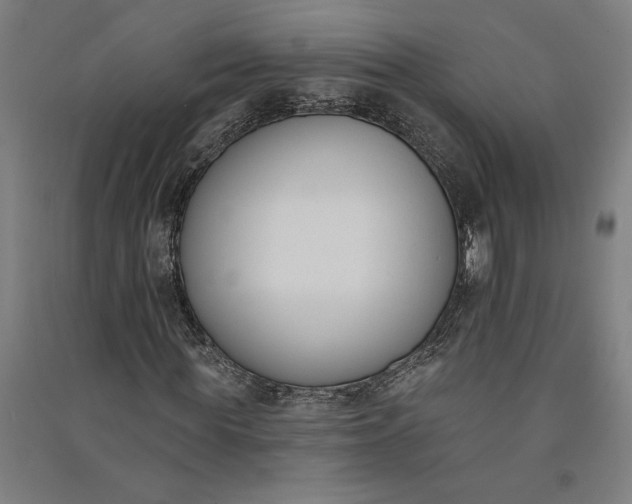 X0000091070819200708201407