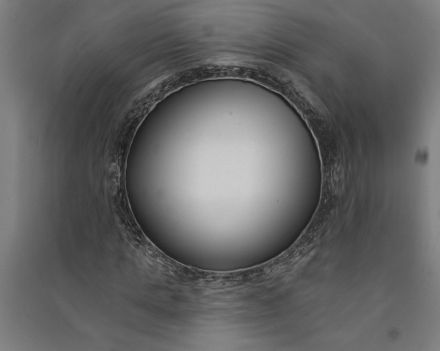 X0000091070821200708201407