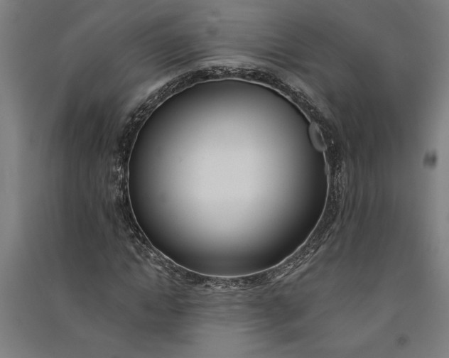 X0000091070822200708201407