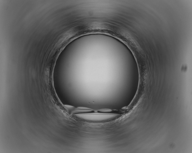 X0000091070825200708201407