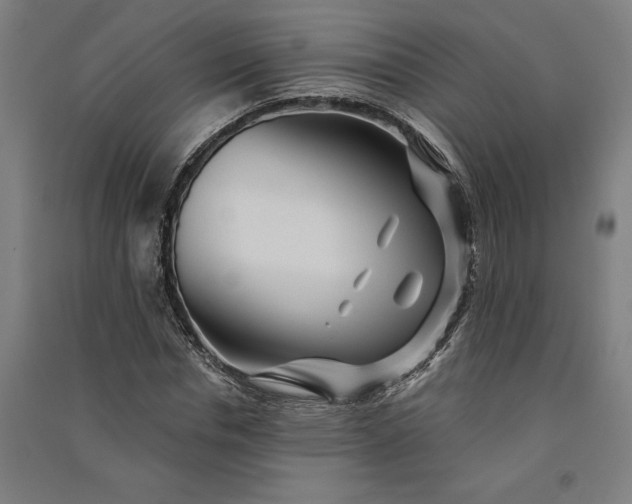 X0000091070826200708201407