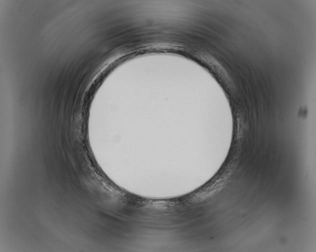 X0000091070828200708201407