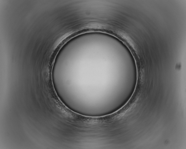 X0000091070829200708201407