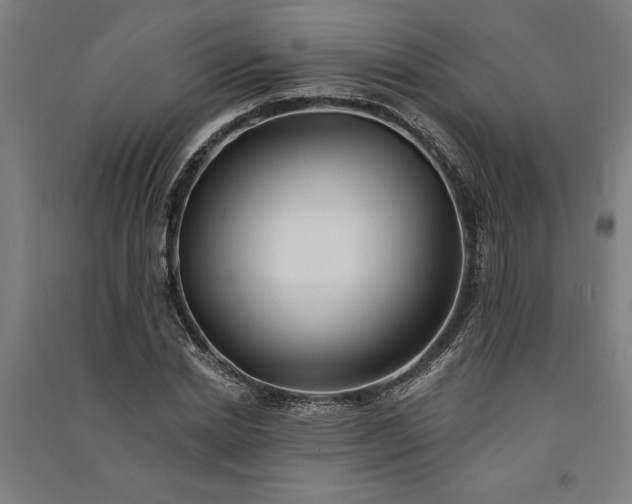 X0000091070830200708201407