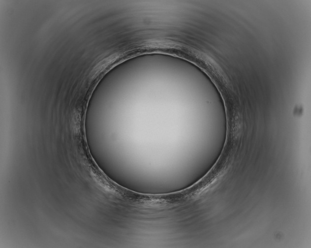 X0000091070833200708201407