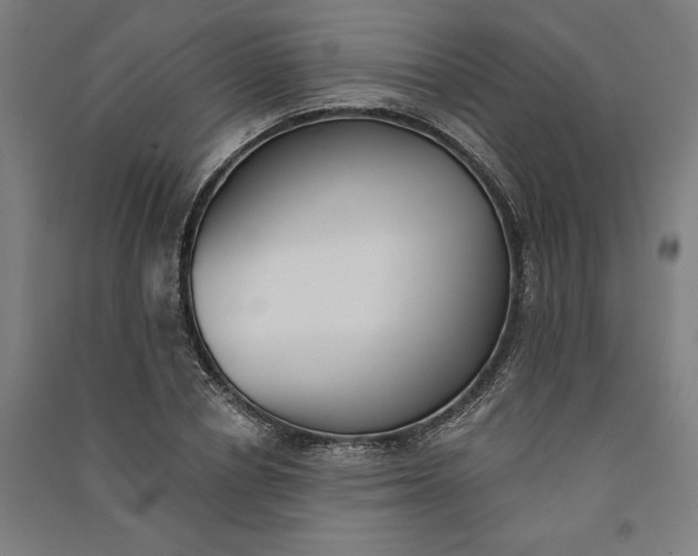 X0000091070834200708201407