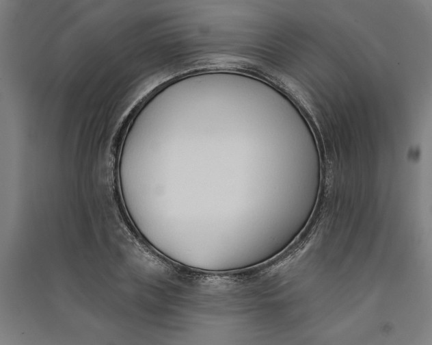 X0000091070835200708201407