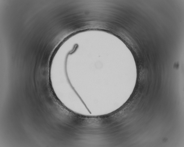 X0000091070836200708201407