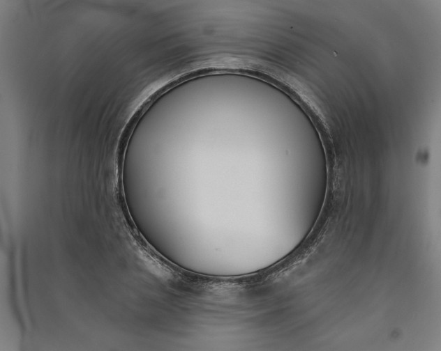 X0000091070837200708201407