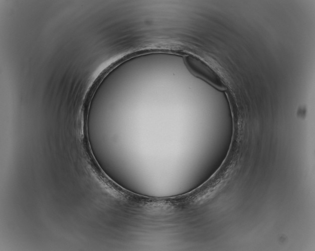 X0000091070838200708201407