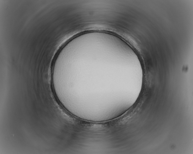 X0000091070839200708201407