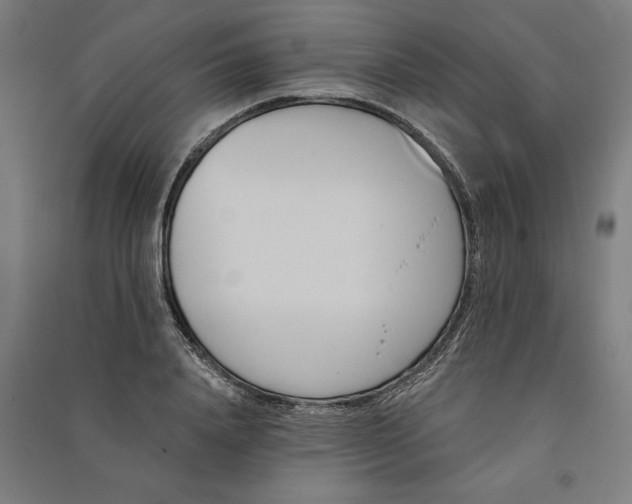 X0000091070840200708201407