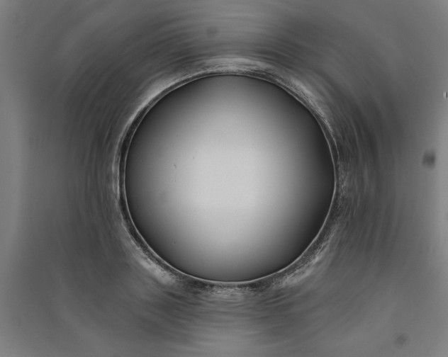 X0000091070843200708201407