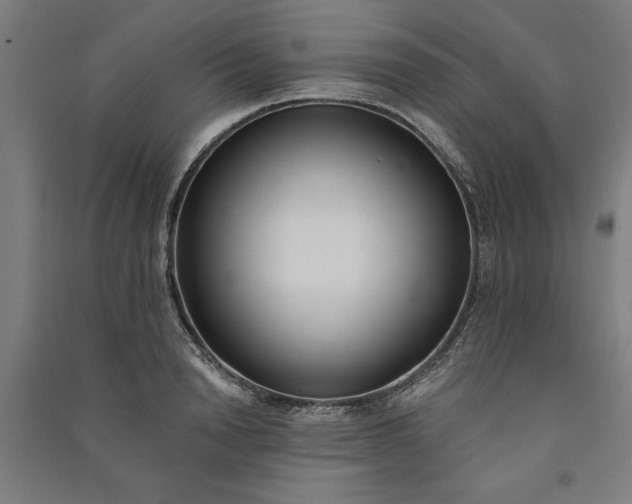 X0000091070846200708201408