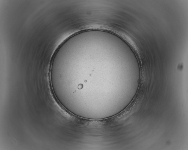 X0000091070847200708201408