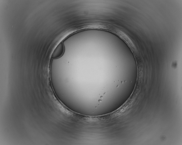 X0000091070852200708201408